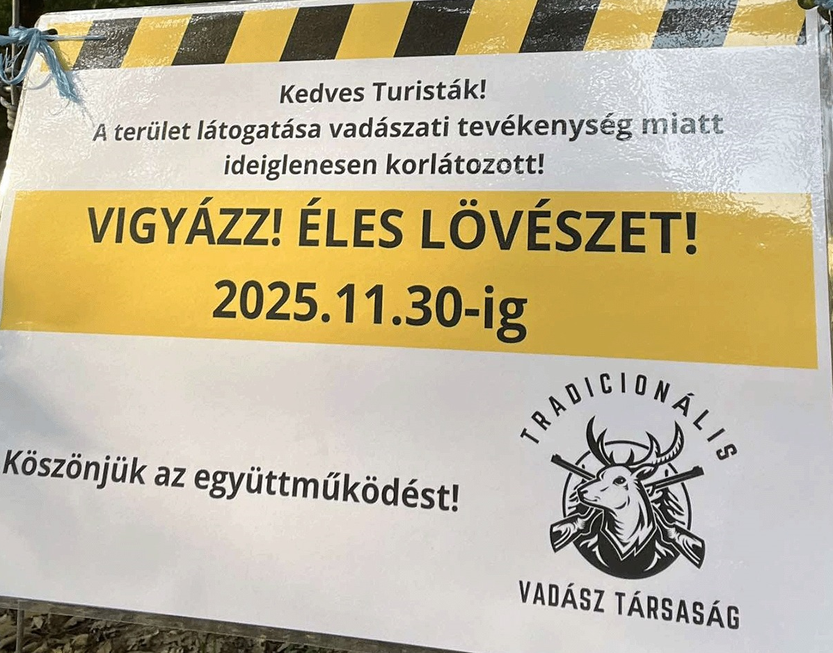 Lezárt erdő Nadapon.